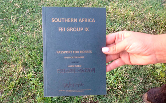The horse passport explained