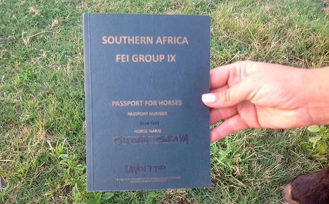 The horse passport explained The horse passport explained
