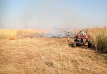 How to make a firebreak suited to local conditions