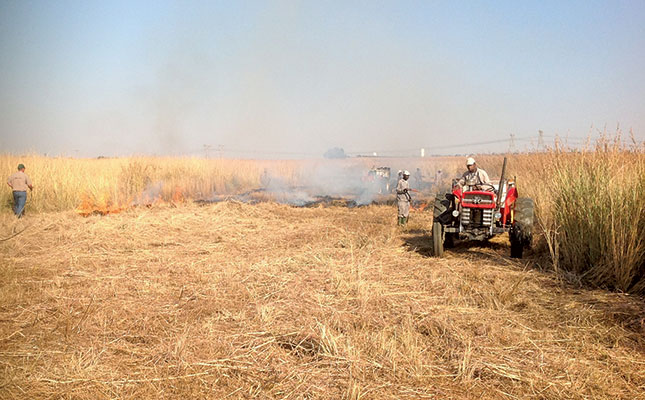 How to make a firebreak suited to local conditions