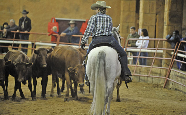 Heritability of temperament in horses Heritability of temperament in horses