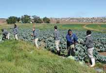 farmer-behaviour-what-kind-of-farmer-are-you