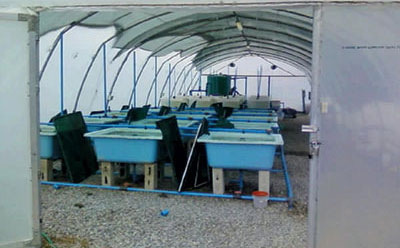 How to start your own aquaculture business – part 2 How to start your own aquaculture business – part 2