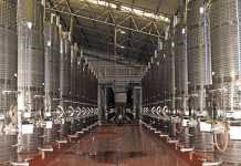 Durbanville Hills wine cellar