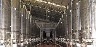 Durbanville Hills wine cellar