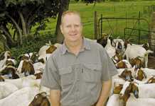 The Boer goat a winning investment