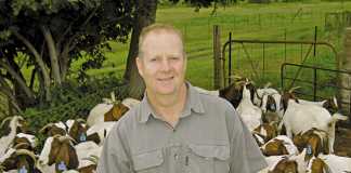 The Boer goat a winning investment