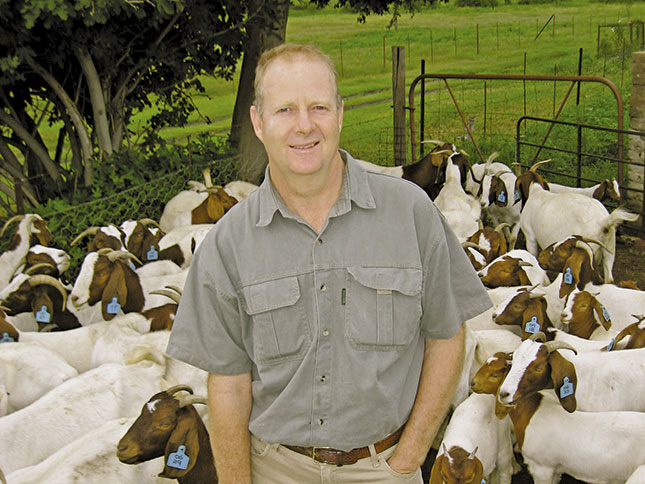 The Boer goat: a winning investment
