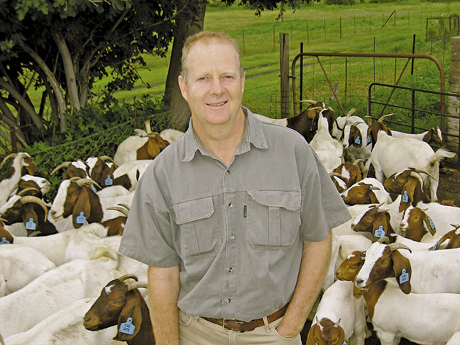 The Boer goat: a winning investment The Boer goat: a winning investment