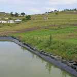 fish-production2