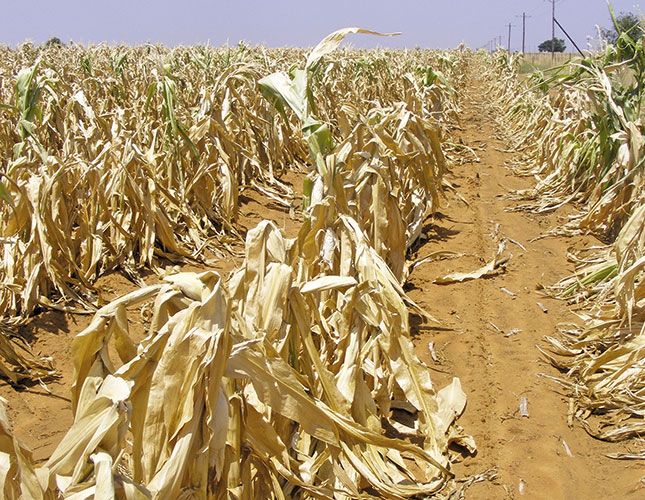 Coping with drought and planning ahead Coping with drought and planning ahead