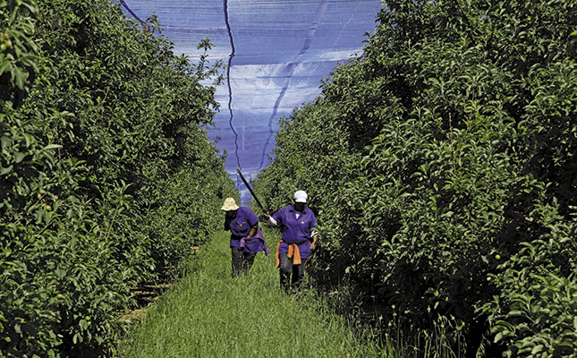 Get ready: sustainable farming is here to stay Get ready: sustainable farming is here to stay