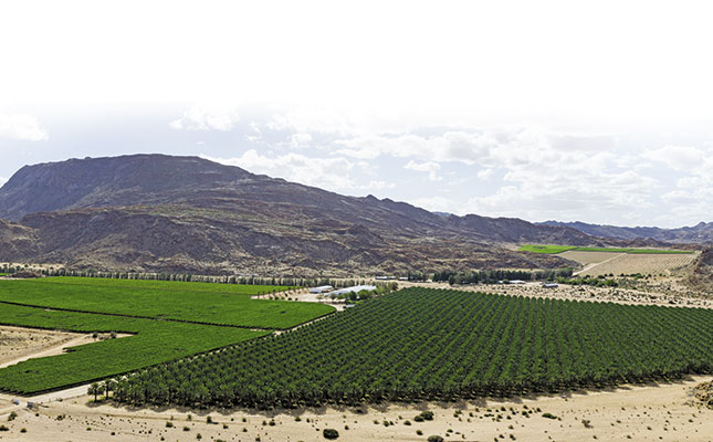 The Karsten Group: International fruit giant The Karsten Group: International fruit giant