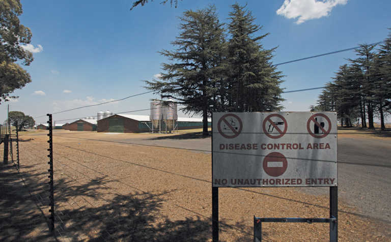 Broiler farmer prospers with successful partnering Broiler farmer prospers with successful partnering