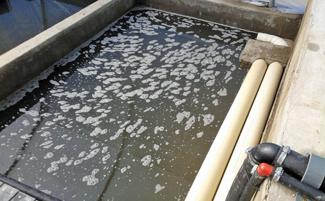 A better way to do aquaponics A better way to do aquaponics