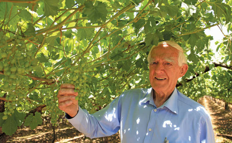 Secrets of a visionary fruit farmer