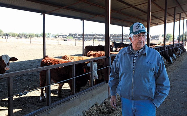 Only use the best genetics – Hennie Viljoen Only use the best genetics – Hennie Viljoen