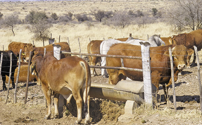 Keeping track of livestock production profitability