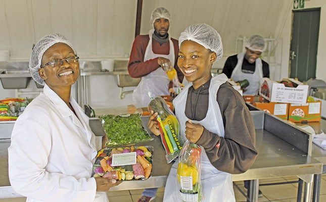 Plans to diversify to ensure sustainability Plans to diversify to ensure sustainability