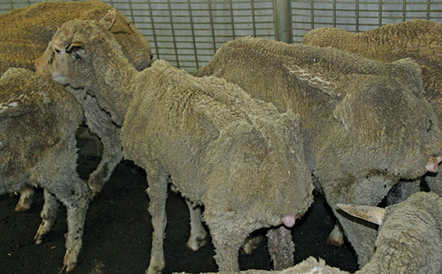 The basics of Johne’s disease The basics of Johne’s disease
