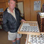 Ernest Pringle’s butterfly collection