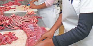 Get the best value from your abattoir