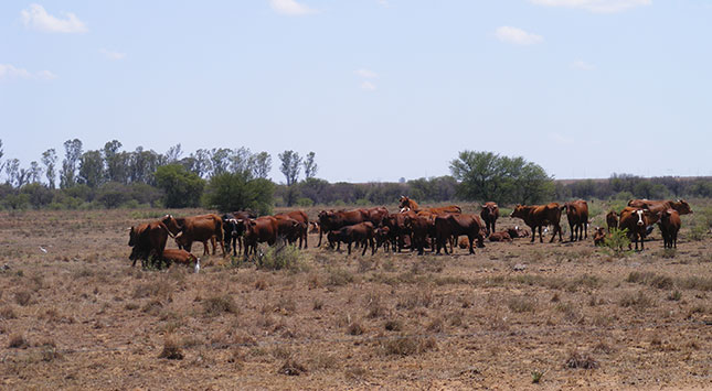 “Government has a plan to respond to drought” – Gordhan