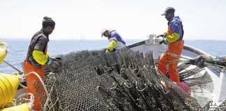 Oyster farming in Saldanha Bay