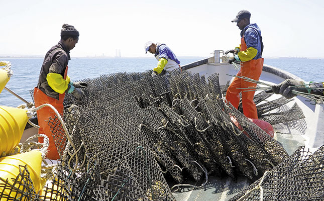 Oyster farming in Saldanha Bay