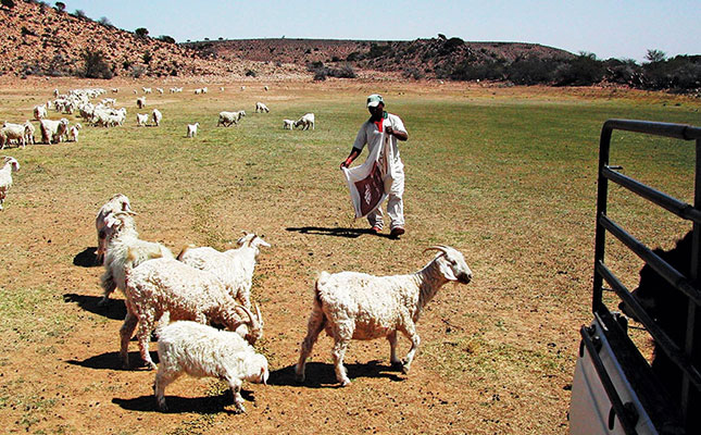 Efficient feeding during drought