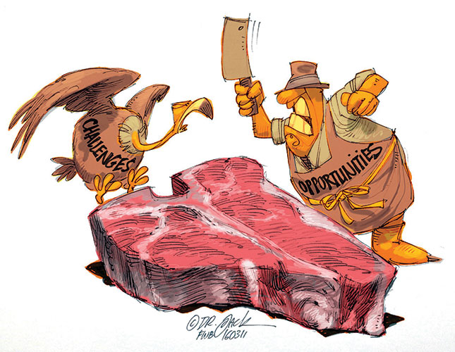 Challenges and opportunities for SA’s red meat producers Challenges and opportunities for SA’s red meat producers