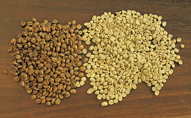Coffee and olive oil: authentic Italy in the Western Cape Coffee and olive oil: authentic Italy in the Western Cape