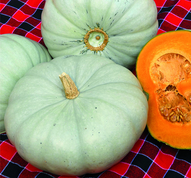 Planting vegetables: 3 things to consider Planting vegetables: 3 things to consider