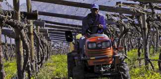 A Kubota B2420 tractor for the price of a quad bike