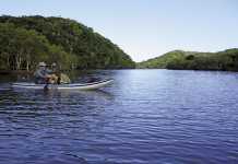 A trip down the Nqabara River valley