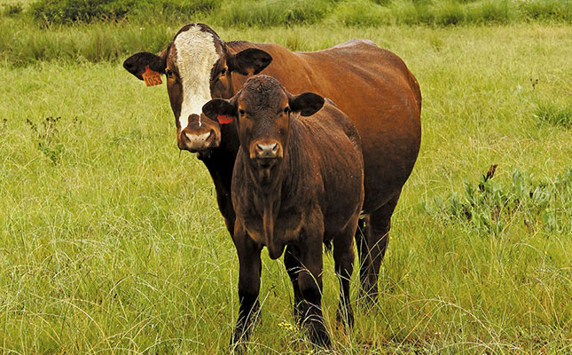 Three-way crossbreeding for optimal production Three-way crossbreeding for optimal production