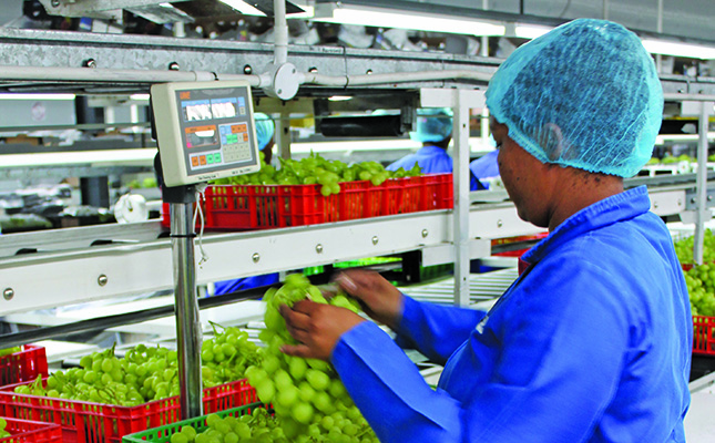 Lean agriculture applied to SA Lean agriculture applied to SA