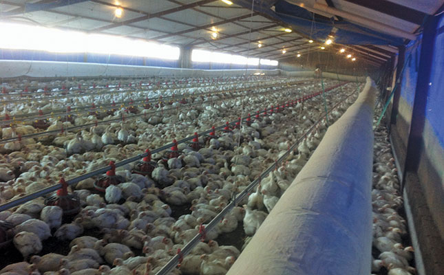 Transformation plans for the poultry industry