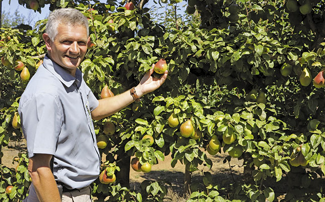 Proactive fruit farming techniques