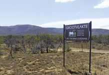 The legacy of the Jordaan Boer goats
