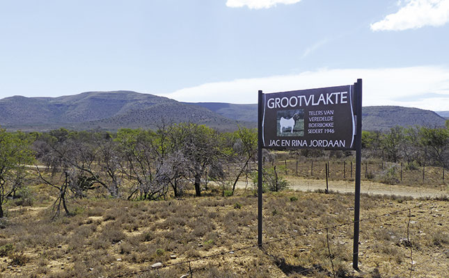 The legacy of the Jordaan Boer goats