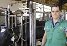 Trends in animal health and veterinary services