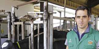 Trends in animal health and veterinary services