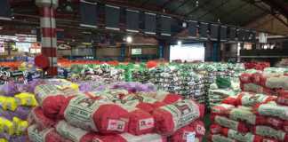 tshwane-fresh-produce-market