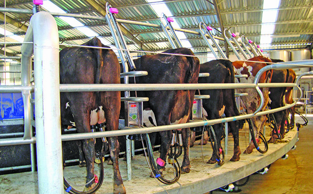 Dairy Farming A Beginners Guide dairy-farming-a-beginners-guide