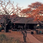 Manketti-Game-Reserve