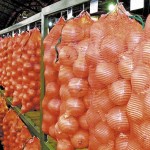 fresh-produce-market
