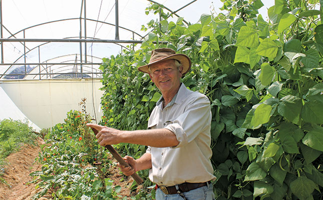 Successful, small-scale organic farming in the city