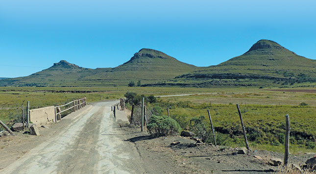 City girl takes on Simmentaler and sheep farming