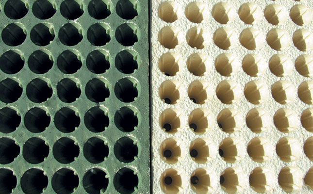 Seedlings and seedling trays